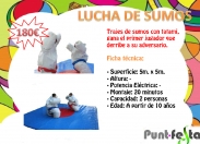 Vestits de Sumo amb tatami, guanya qui primer tiri a terra al seu adversari.